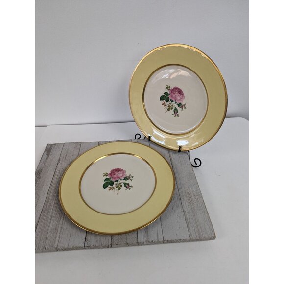 FL11 Yellow Dinner Plates Set of 2 California Gold Flintridge Sylvan China - Picture 1 of 13